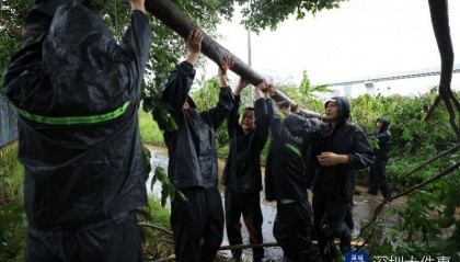 从“山竹”开始，深圳这家企业每遇台风都组织员工排险清障