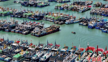 台风“杨柳”逼近 福建连江渔船回港避风