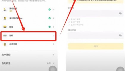 币安VSYS(biance币安官网)