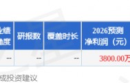 浩瀚深度：3月5日召开分析师会议，东北证券、开源证券参与