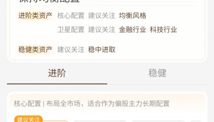 支付宝蚂蚁理财金选：与波动共舞的稳健理财平衡艺术