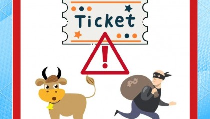 虚拟币传销(什么是虚拟币传销)