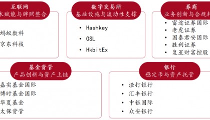 虚拟币发展(虚拟币发展趋势)