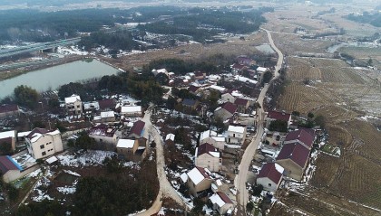 2025年新村村通要来了？一户一田、土地归并最新消息！