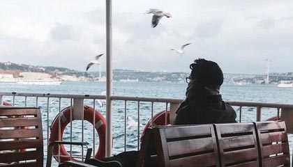 证券代码:600021 证券简称:上海电力 公告编号:2025-015