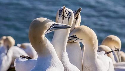 证券代码:603330 证券简称:天洋新材 公告编号:2025-020