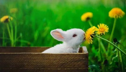 证券代码:688190 证券简称:云路股份 公告编号:2025-014