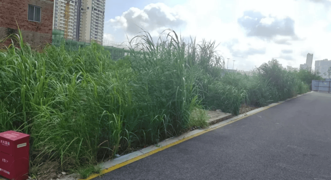 广西南宁一小区业主与物业互相起诉！律师：主张物业费减免需长期全面取证