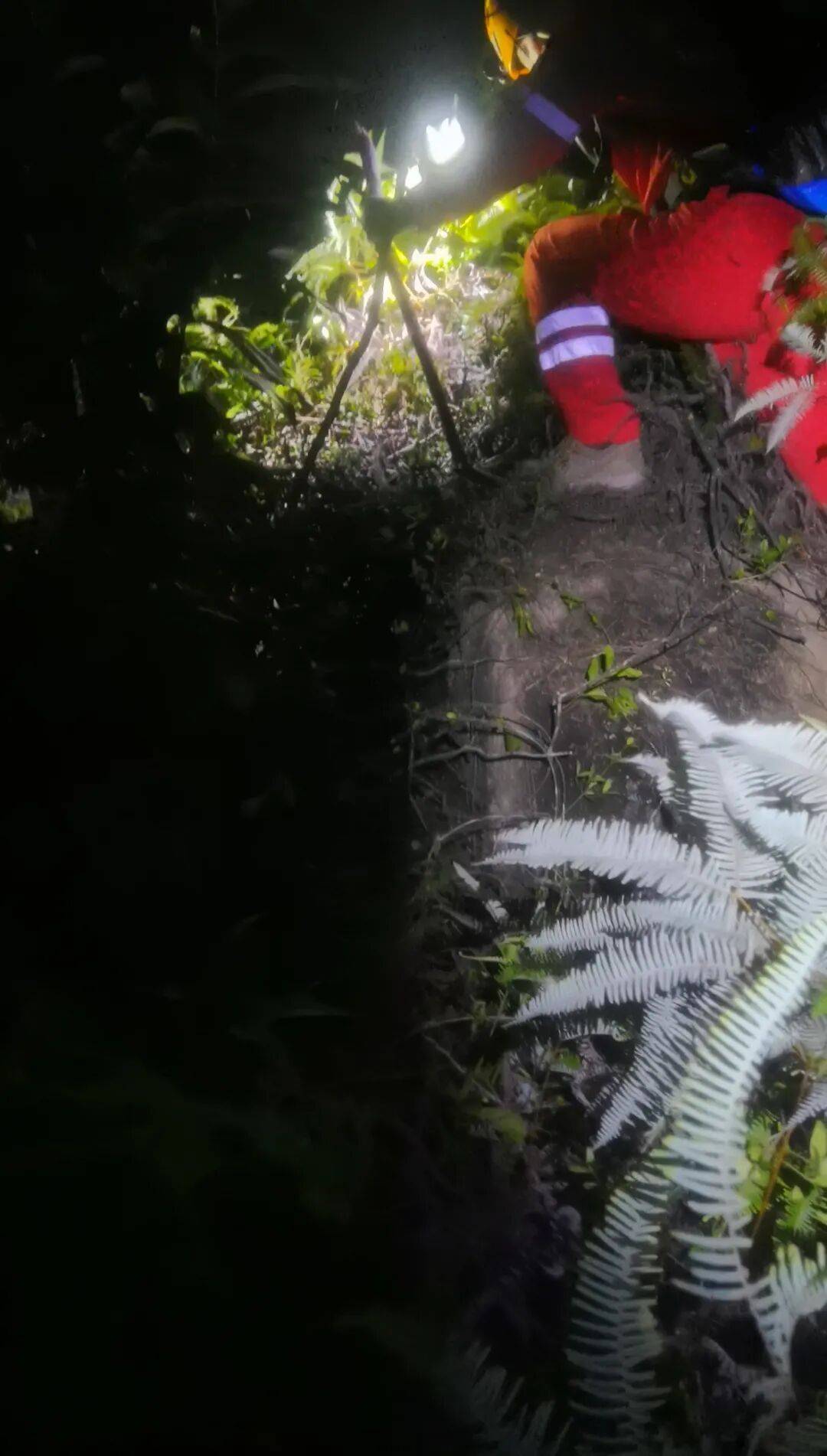 事发厦门！“95后”男子登山被困，绝望中交代银行卡密码……