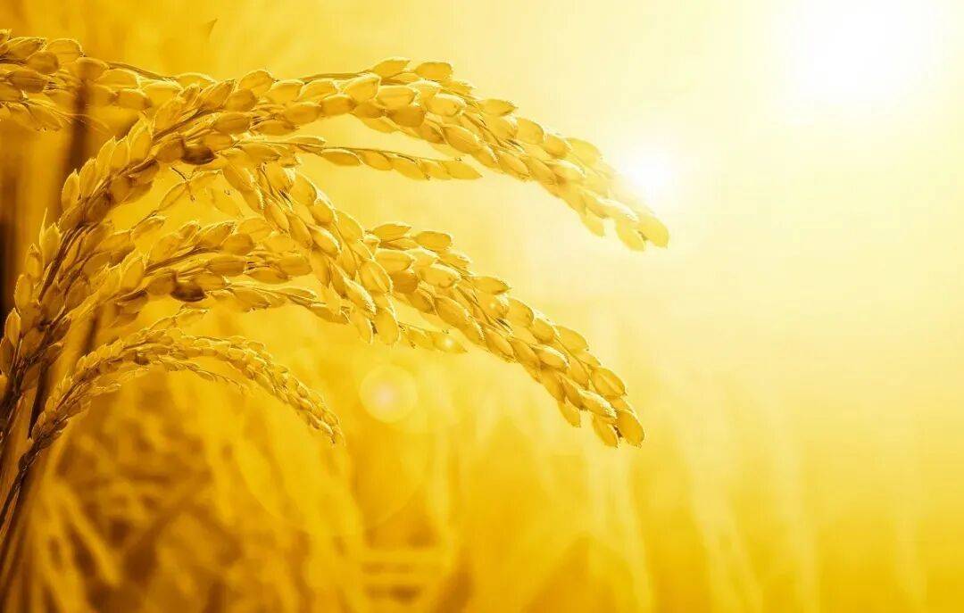 百分百！我院2025年度执业医师资格考试首考通过率100%