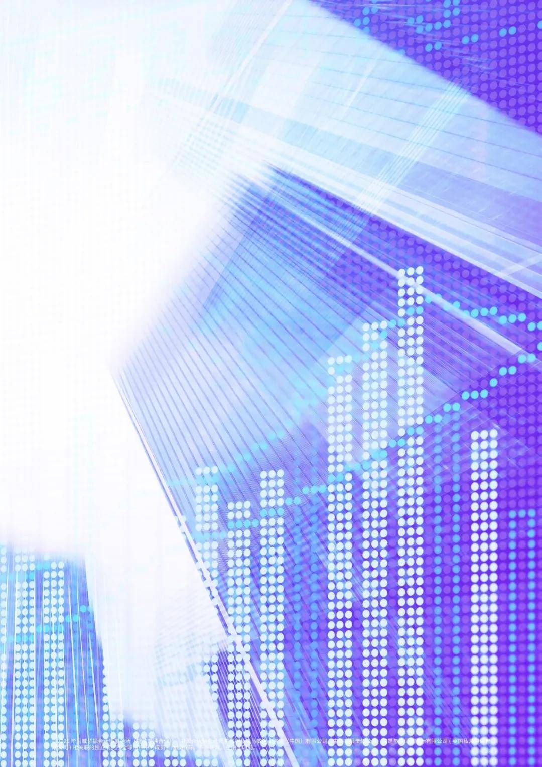 2025中国证券业调查报告（附下载）