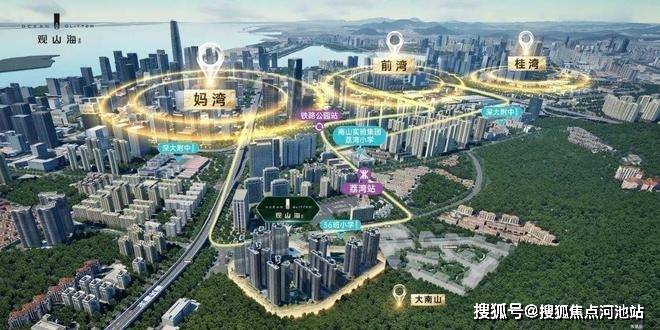 南山【观山海家园】楼王加推01户型,纯板楼南北通,一梯一户,改善首选